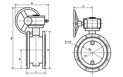 d43h型金屬硬密封蝶閥結(jié)構(gòu)圖.jpg